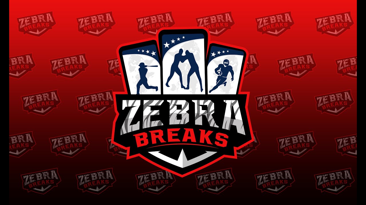 Zebra Breaks Filler Bucks